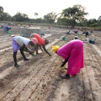 Nouveaux projets avec la Fondation Kassumay