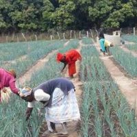 Année 1 Programme Karonghen 2