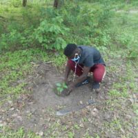 PK3_ENVIRONNEMENENT_002