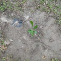 PK3_ENVIRONNEMENENT_003