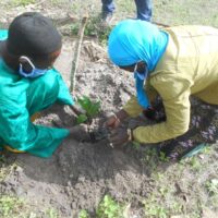 PK3_ENVIRONNEMENENT_006