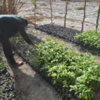 PK3_ENVIRONNEMENENT_007