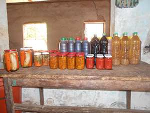 Transformation des fruits et légumes en Casamance