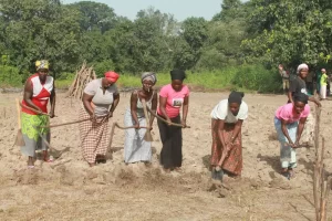 Lire la suite à propos de l’article Agriculture durable