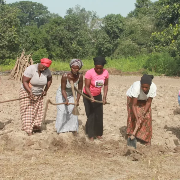 Agriculture durable