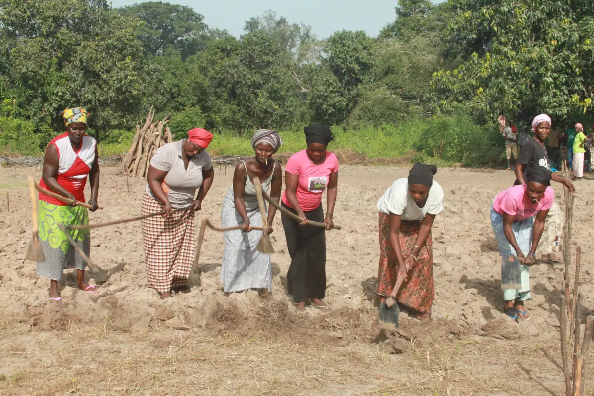 Agriculture durable
