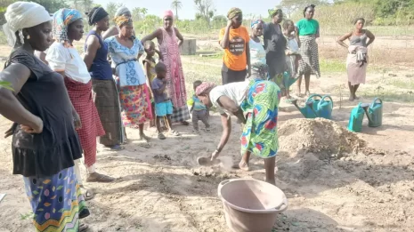 Formation agroécologie