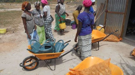 Distribution_de_matériel_agricole_dans_un_jardin_du_PK